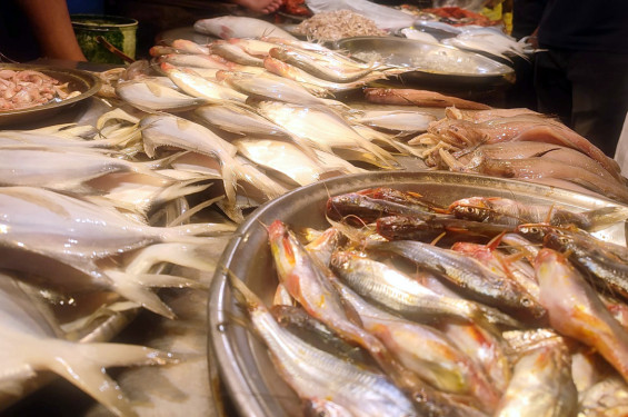 ইলিশ ছাড়াই কাটল নিষেধাজ্ঞার প্রথম দিন