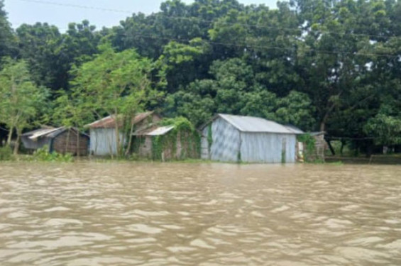 তিস্তার পানি বাড়ায় প্লাবিত নিম্নাঞ্চল