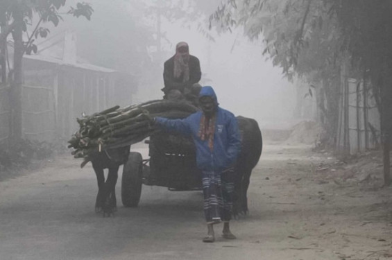 বাড়ছে শীতের দাপট